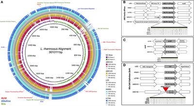 Intra-species Genomic and Physiological Variability Impact Stress Resistance in Strains of Probiotic Potential